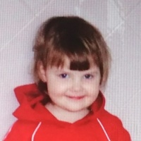 Egg donor Wavy brown hair ID 459026