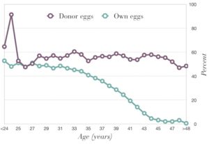 donor egg pregnancy